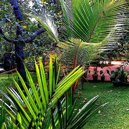 Nethmi Homestay Sigiriya Exterior foto