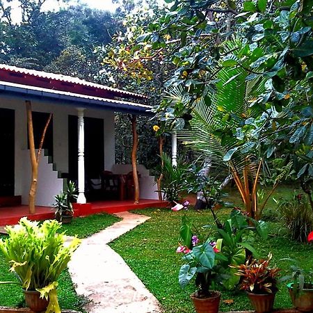 Nethmi Homestay Sigiriya Exterior foto